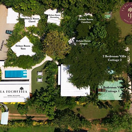 La Prometida Ξενοδοχείο Puerto Viejo de Talamanca Εξωτερικό φωτογραφία