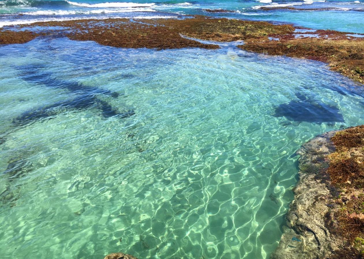La Prometida Ξενοδοχείο Puerto Viejo de Talamanca Εξωτερικό φωτογραφία